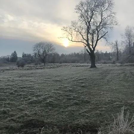 Ferienhaus Lakeview Holiday Whitegate