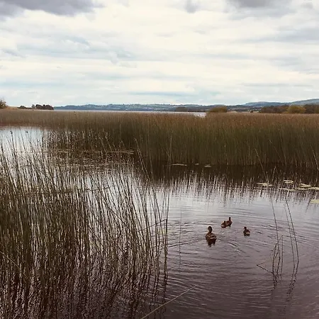 Lakeview Holiday Whitegate Ferienhaus *