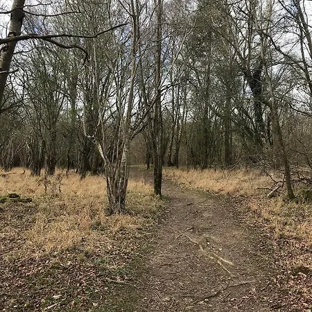 Lakeview Holiday Whitegate Ferienhaus Whitegate (Galway)
